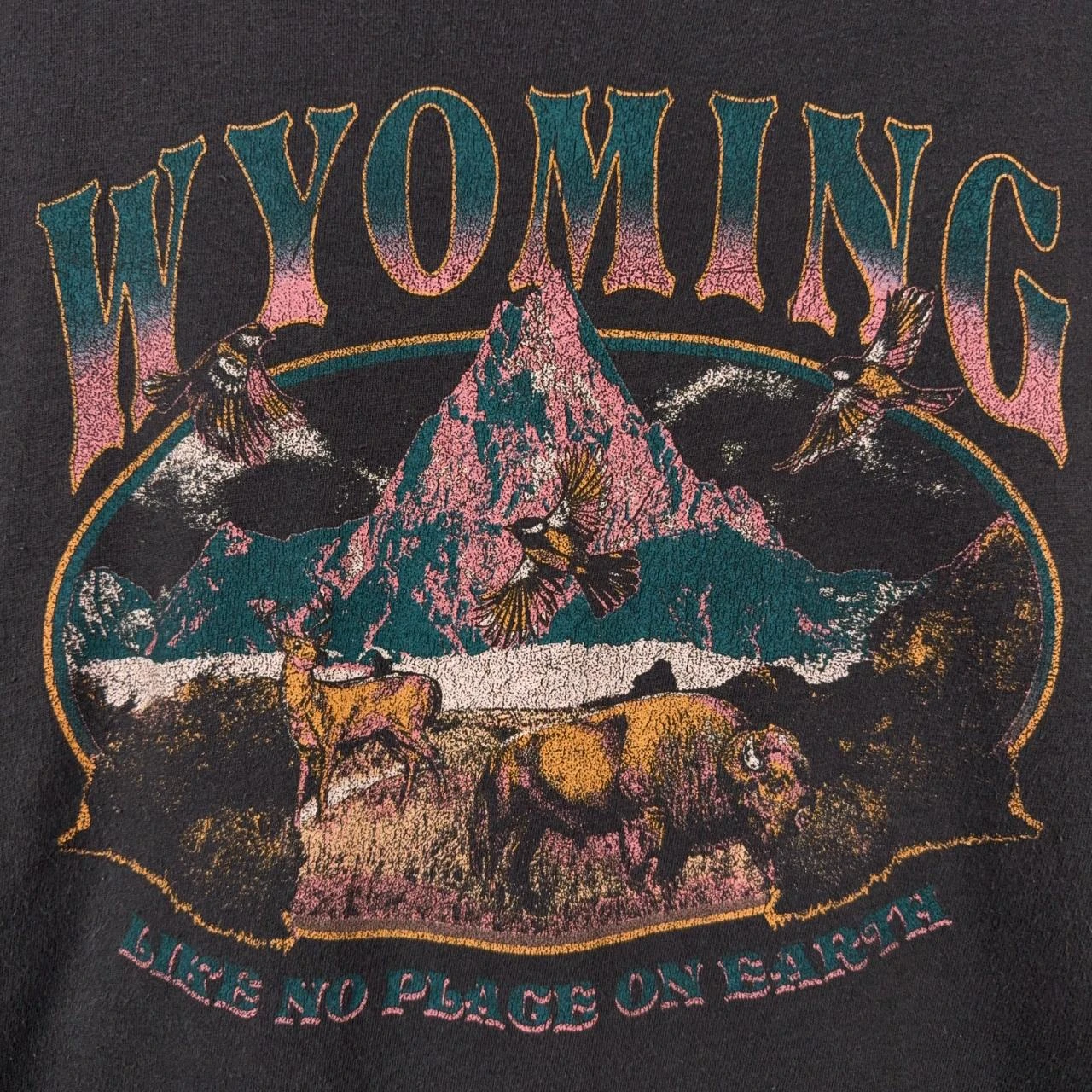 Mighty Fine Wyoming Nature Graphic T-Shirt XL – photo 3